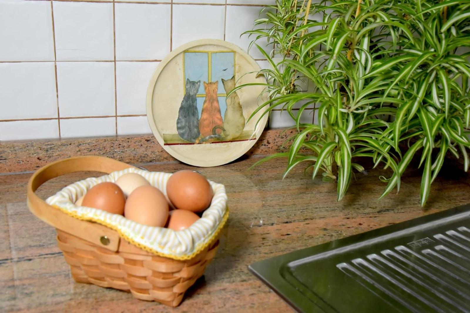 Romantic Hamlet Cottage With Private Pool La Fragua De Eliseo Канделарія Екстер'єр фото